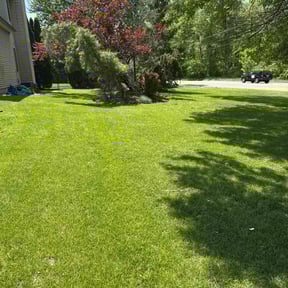 landscaping services by Joe's Quality Cuts reviewed on January 28, 2026