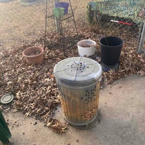 Leaf Removal by Level Up Landscaping LLC reviewed on April 30, 2026