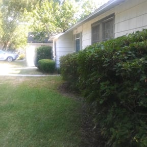 Bush Trimming by Rise Lawn Care reviewed on August 21, 2025
