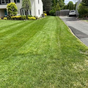 residential landscaping by David's Landscaping reviewed on August 21, 2025