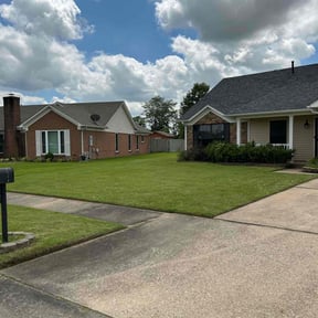 landscaping services by EZ Lawns reviewed on August 16, 2025