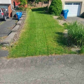 turf care by All Trim Lawn Services, Inc. reviewed on December 9, 2023