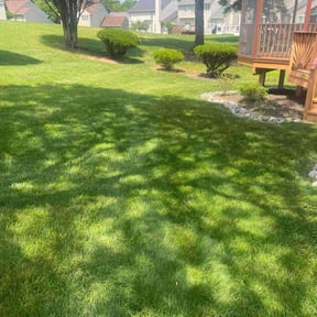 yard work by Fresh Cut reviewed on August 15, 2025