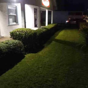 Bush Trimming by Marvin's Services LLC reviewed on August 21, 2025