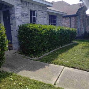 Bush Trimming by Willie Lawn Care and More LLC reviewed on August 16, 2025