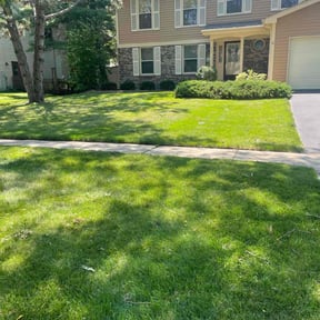 yard care by Paz Lawn Services reviewed on August 15, 2025