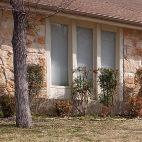 Bush Trimming by Premier Landscaping & Lawn Maintenance reviewed on August 19, 2025