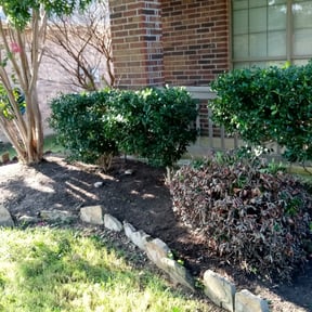 Bush Trimming by Carter's Property and Lawn Care Service reviewed on August 18, 2025