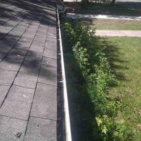 Gutter Cleaning by Taylor Services reviewed on August 8, 2025