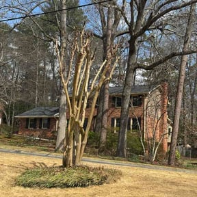 Bush Trimming by Quality Pro. Construction reviewed on April 9, 2026