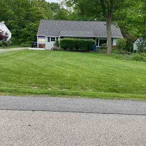 yard work by Cricket Mowing Services LLC reviewed on August 21, 2025