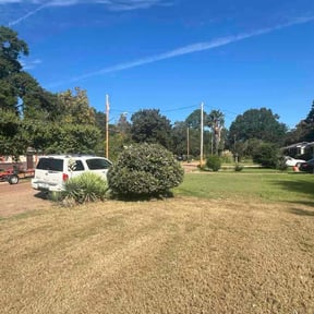 Bush Trimming by S&amp;P Lawn maintenance LLC reviewed on October 21, 2025