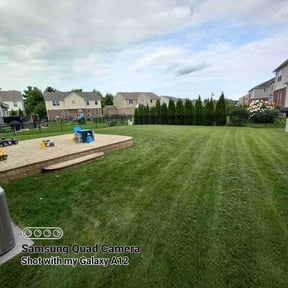 landscaping by Davis landscaping reviewed on November 18, 2025