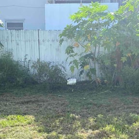Leaf Removal by T&amp;K Outdoor Services reviewed on August 15, 2026