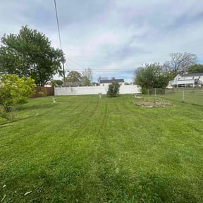 lawn care by Halls Lawn And Tree reviewed on May 4, 2025