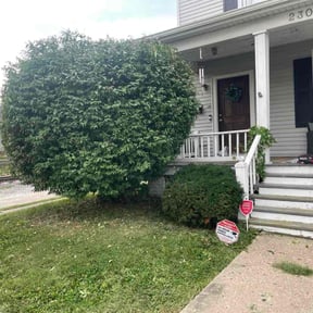 Bush Trimming by Blue Lagoon Lawn Service reviewed on February 6, 2022