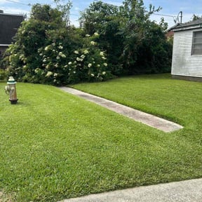 residential landscaping by Escalade lawn care reviewed on August 21, 2025
