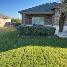 Bush Trimming by Carbon Dioxide Recyclers reviewed on November 10, 2025