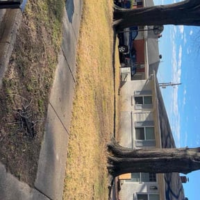 Leaf Removal by Alexito Landscaping reviewed on January 7, 2026