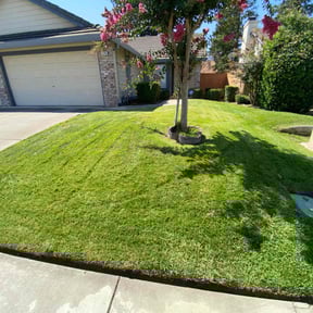 landscaping services by Mow & Blow it reviewed on August 17, 2025