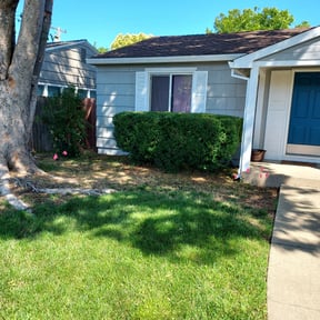 Bush Trimming by A-1 Affordable Lawn Care reviewed on August 16, 2025