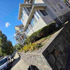 Leaf Removal by Tito&#039;s Landscaping Services reviewed on September 13, 2025