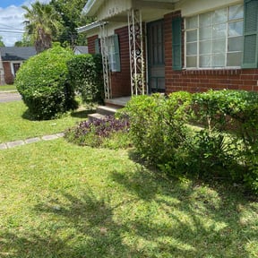 Bush Trimming by #1 grass man reviewed on August 16, 2025