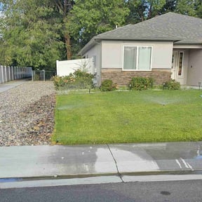 lawn care by Three lil bears lawn care reviewed on July 31, 2024