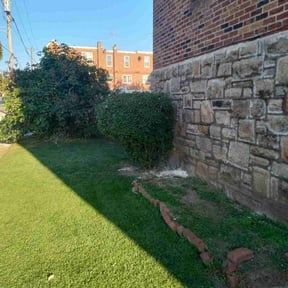 Bush Trimming by ECG Lawn Care reviewed on August 15, 2025
