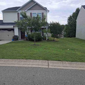 landscape maintenance by Tim King reviewed on December 11, 2025