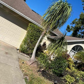 Bush Trimming by Cruz Elite Landscaping reviewed on October 22, 2025