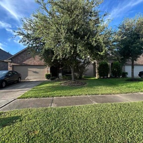 yard service by New Heights LawnCare reviewed on August 21, 2025