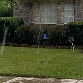 Flower Bed Weeding by Splendid Grass Lawn Inc reviewed on August 16, 2025