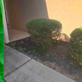 turf maintenance by The Lawn Barber reviewed on June 9, 2025