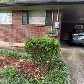 Bush Trimming by Palmetto Commercial and Residential Solutions reviewed on August 21, 2025
