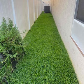 landscape maintenance by TOMS - Total Outdoor Maintenance reviewed on August 21, 2025