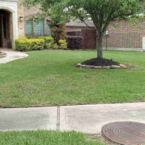 landscaping services by Stans lawn care reviewed on November 24, 2025