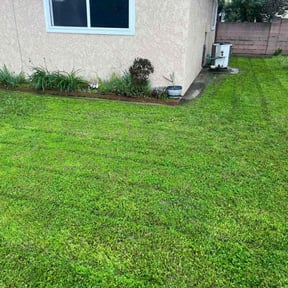 grass cutting by Elston Lawn Care reviewed on December 1, 2023