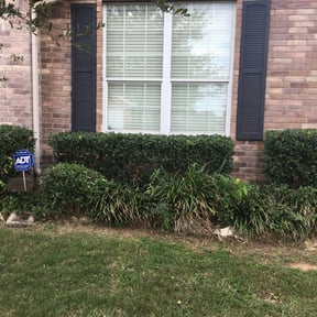 Bush Trimming by 360 Lawn Service Pros reviewed on August 19, 2025