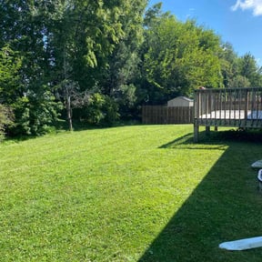 gardening service by Finish Line Lawns llc. reviewed on August 18, 2025