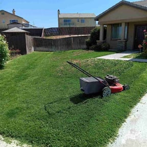 grass cutting by Swayne’s Lawncare LLC reviewed on November 9, 2023