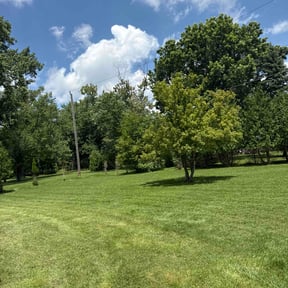 yard service by Mills Landscaping reviewed on August 21, 2025