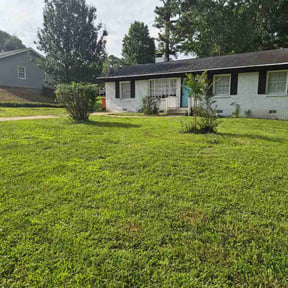 Bush Trimming by Willie Lawn Care and More LLC reviewed on June 29, 2026