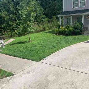 yard work by Lieutenant Lawn Maintenance reviewed on August 17, 2025