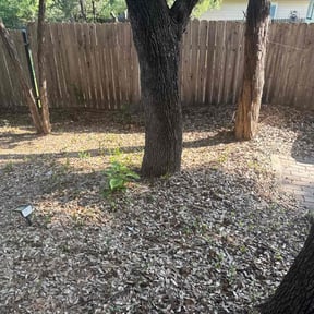 Leaf Removal by Still Waters caretakers of His creation LLC reviewed on September 24, 2025