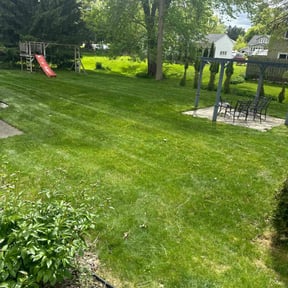 turf care by Stephen Reynolds reviewed on April 25, 2024