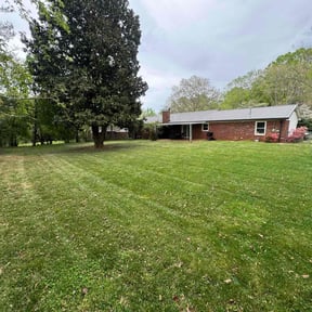lawn maintenance by Keep it Loe Lawn Service reviewed on May 3, 2024