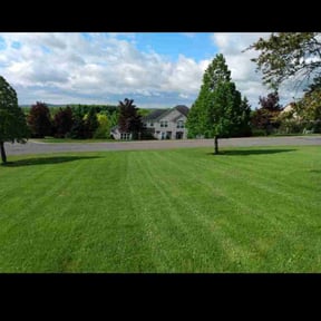 yard maintenance by King of Lawn Care LLC reviewed on March 15, 2024