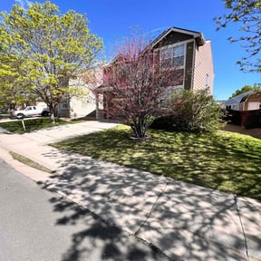 residential landscaping by Eagles Lawn Care and More reviewed on August 14, 2025