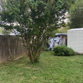 Bush Trimming by Lee's Lawn Care reviewed on August 17, 2025